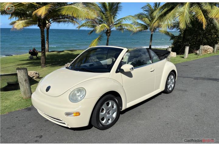 Beetle 2003