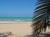 West Indies Properties  Puerto Rico