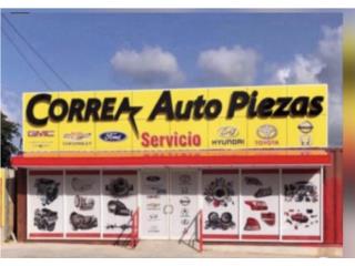 Compuerta Toyota Tundra 