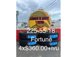 225/55/18 FORTUNE Puerto Rico GOMERA LA BENDICION