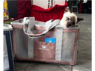 VARIEDAD EN BULTOS PARA TRANSPORTAR A SU MASCOTA Puerto Rico JRT Auto Interiors