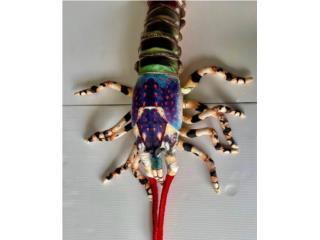 VARIEDAD DE PELUCHES DE ANIMALES, Puerto Rico