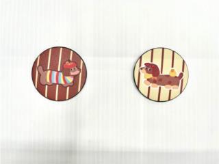 COASTERS ANIMADOS Puerto Rico JRT Auto Interiors