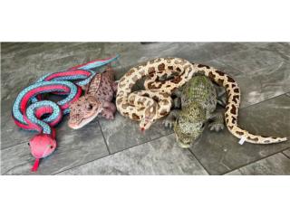 VARIEDAD DE PELUCHES DE SERPIENTES Y COCODRIL