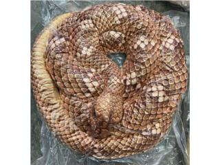 PELUCHE DE SERPIENTE de 8”