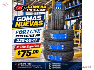 Gomas Nuevas  225-60-17  Puerto Rico GOMERA PIPE.COM