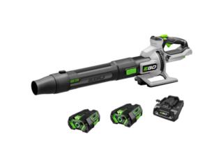 Ego Blower 880 CFM Car Drying Kit w/battery Puerto Rico UM Distributors, Inc.
