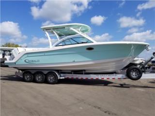 Robalo R317 Dual Console  Puerto Rico