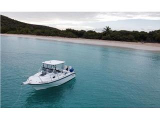 BOSTON WHALER 23 CONQUEST 1998 & SU TRAILER Puerto Rico