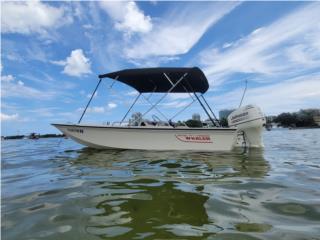 1992 Boston Whaler 17 GLS - 2006 Johnson 90hp Puerto Rico