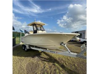 2026 Scout 260 LXF Puerto Rico