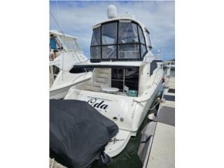 Botes Sea Ray Puerto Rico