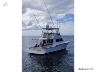 Botes 1999 Tiara 43 Flybridge Convertible Puerto Rico