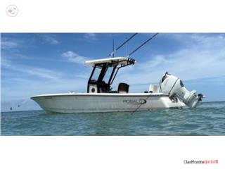 350hp Suzuki / Trailer Puerto Rico