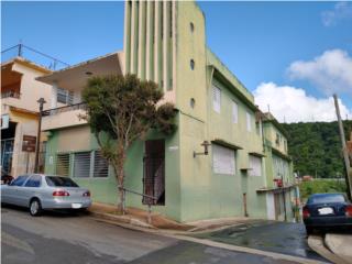 Puerto Rico - Bienes Raices Alquiler Largo PlazoLOCAL #2 BARRANQUITAS CALLE MUNOZ RIVERA #12 Puerto Rico