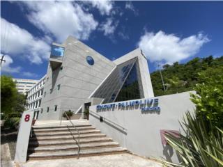 Alquiler OFFICE SPACES FOR LEASE | COLGATE-PALMOLIVE, Guaynabo Puerto Rico