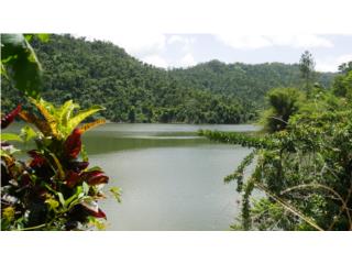 Puerto Rico - Bienes Raices Alquiler Largo PlazoTerreno Lago Dos Bocas, Utuado Puerto Rico