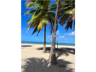 Puerto Rico - Bienes Raices Alquiler Largo PlazoCond. Playa Dorada Isla Verde Puerto Rico