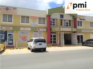 Bienes Raices  Puerto Rico