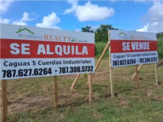  Alquilar5CuerdasTerrenoIndustFrenteCarre#1