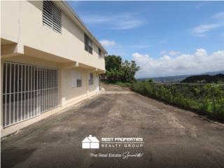Bo. Cañaboncito, St-172, Caguas