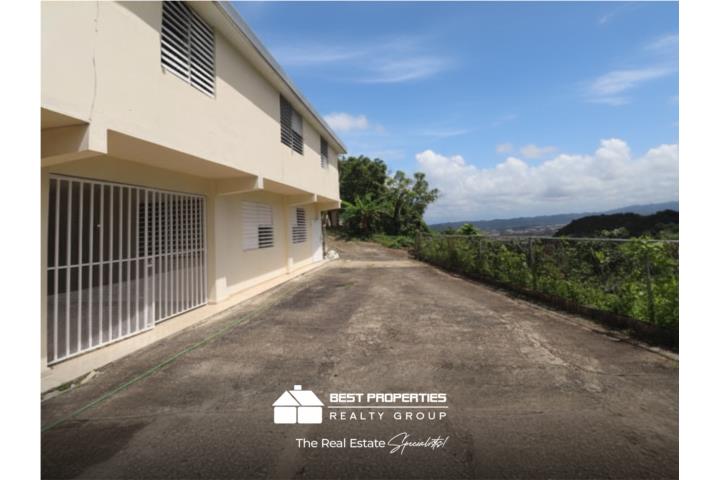 Barrio-Canaboncito Bo. Cañaboncito St-172 Caguas Apartamento/WalkUp en Caguas