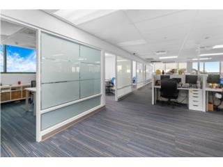 Prime office PH, up to 12,000sqft