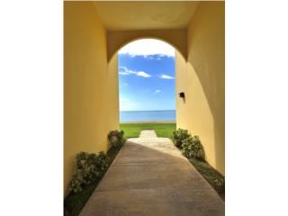 Beach front condo, 