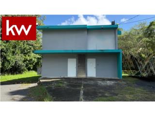 BO. TOMAS DE CASTRO, PROPIEDAD EN CAGUAS