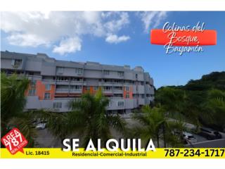 Colinas del Bosque-�Enam�rate de la Vista!