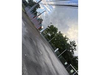 Rexville 