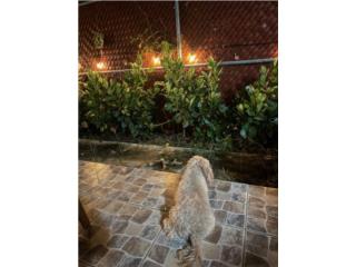 GARDEN HERMOSO - BERWIND BEACH RESORT