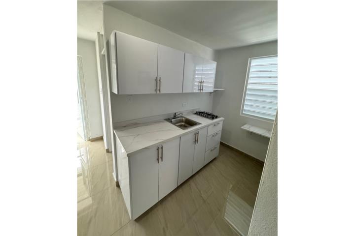 Urbanizacion-Villa Del Rey Cerca Hospital Menonita Agua y Luz incluida Apartamento en Caguas