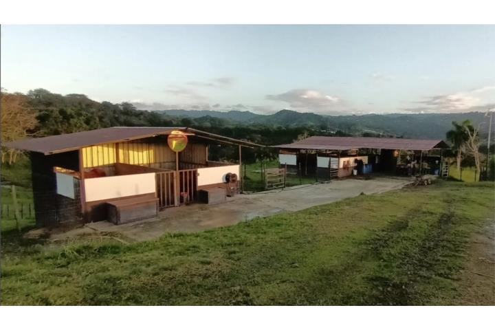 Barrio-Pueblo Finca Caballista con casa Casa en Corozal