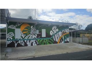 Alquiler Apartamento Naguabo
