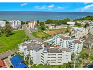 Beautiful fully furnished apartment