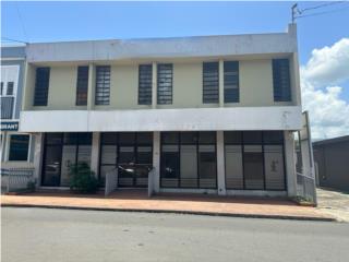 Bienes Raices  Puerto Rico