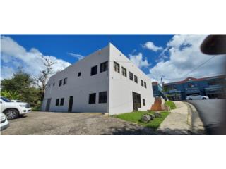 CALLE JOSE DE DIEGO LOCAL COMERCIAL
