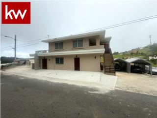 BO. CULEBRA ALTO, APARTAMENTO EN CAYEY