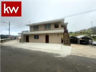 BO. CULEBRA ALTO, APARTAMENTO EN CAYEY