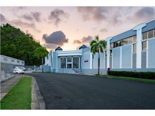 Alquiler Zona Industrial Amelia Industrial Park REXCO Ind.Park-150 C/B, Pueblo Viejo-8,734 SF Guaynabo
