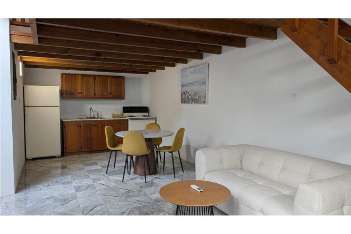 Furniched 1 bedroom w mezzanine