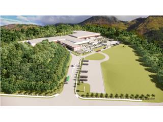 100,000 SQF of Warehouse in Vega Alta for Lea