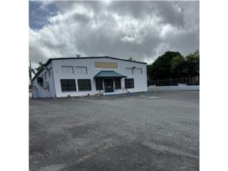 Cayey Bo. Montellano