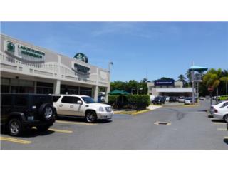 Plaza Dorada