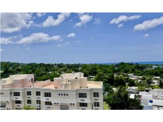 Las Colinas 1, Penthouse