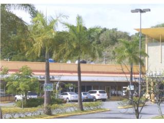 Urbanizaci�n La Fuente Shopping Center