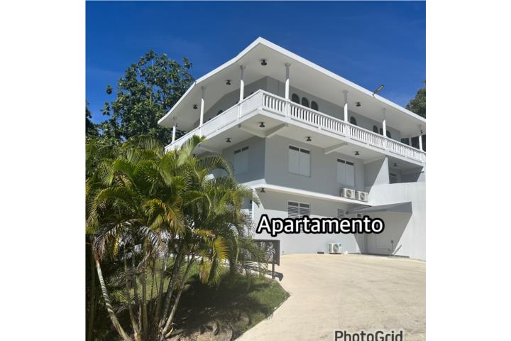Barrio-Naranjo Aguada- renta de apt Apartamento en Aguada