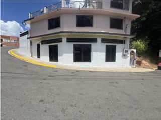 Morovis Pueblo - Local Comercial