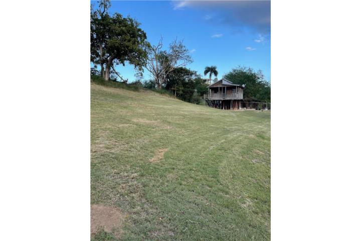 Barrio-Carrizales Sector Palma Gorda Casa en Hatillo